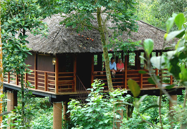 Carmelia Haven Tree House