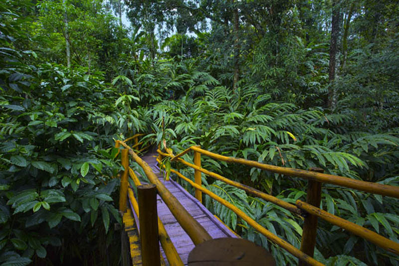 Dream Catcher Resort