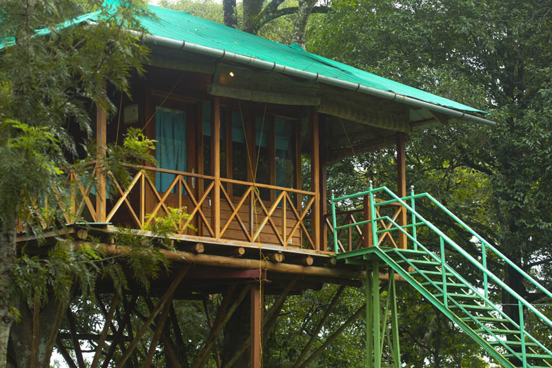 Dream Catcher Resort