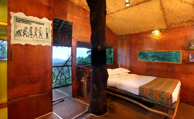 Green Woods Tree House Resort