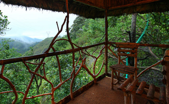 Green Woods Tree House Resort