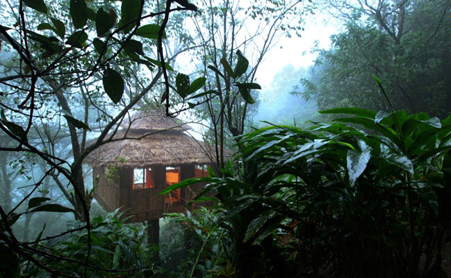 Green Woods Tree House Resort